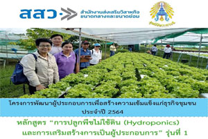 ปลูกพืชไม่ใช้ดิน โครงการลูกพระดาบส