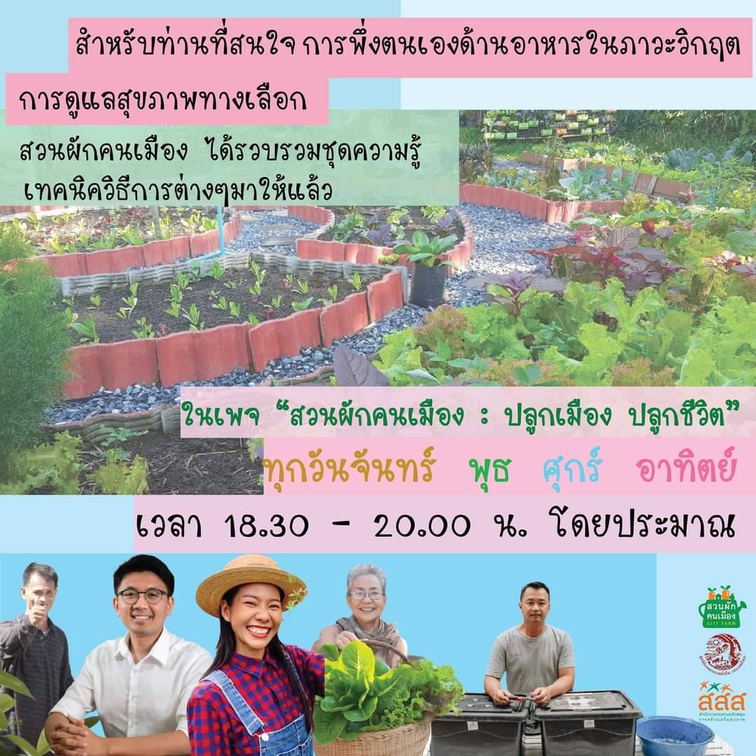 การทำผักสวนคนเมือง
