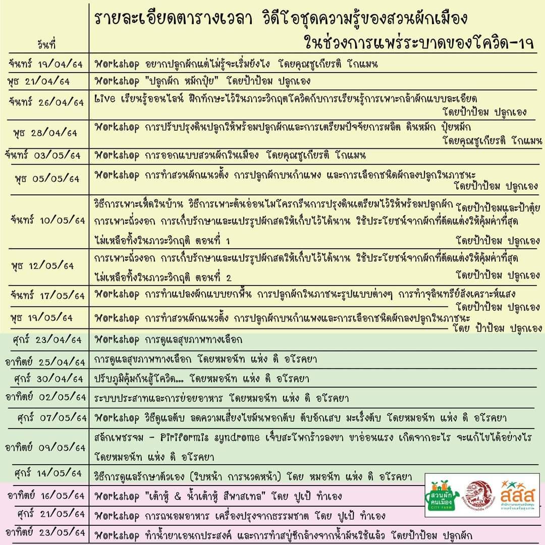 การทำผักสวนคนเมือง
